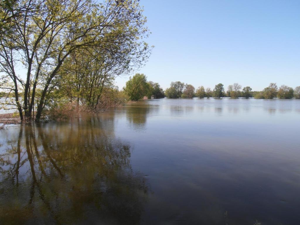 Chateau Sainte Marie Ξενοδοχείο Dompierre-sur-Charente Εξωτερικό φωτογραφία