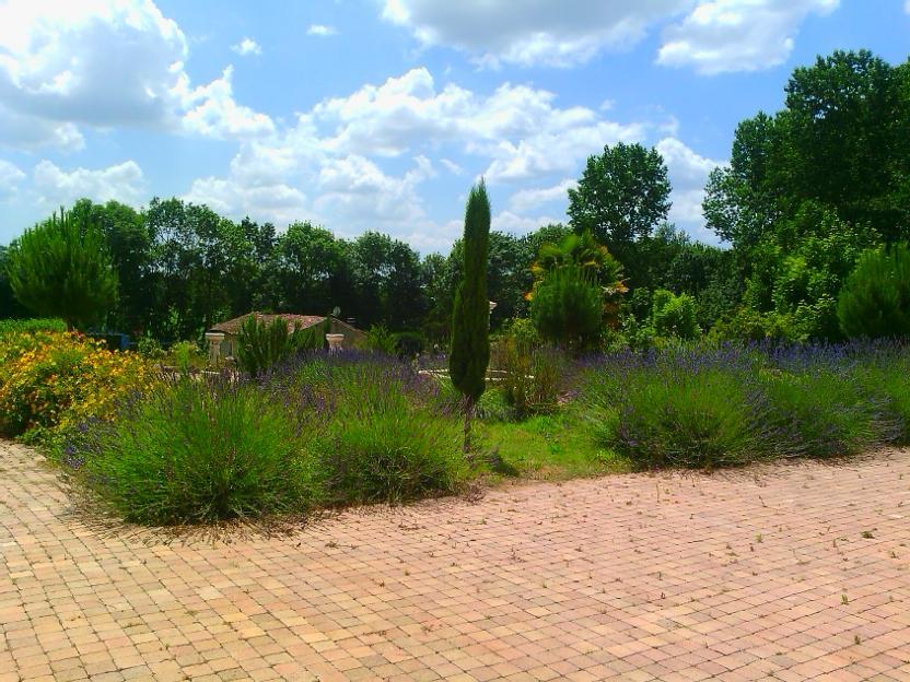 Chateau Sainte Marie Ξενοδοχείο Dompierre-sur-Charente Εξωτερικό φωτογραφία